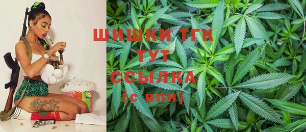 бутират Белокуриха