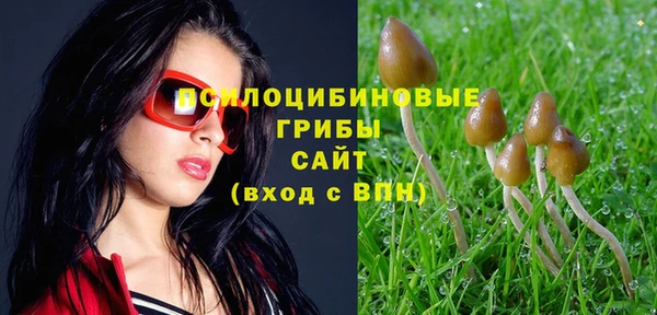 МДМА Беломорск