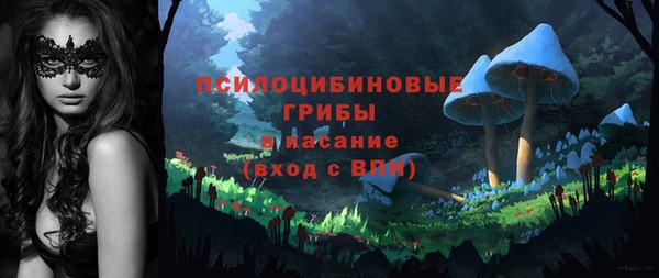 бутират Белокуриха