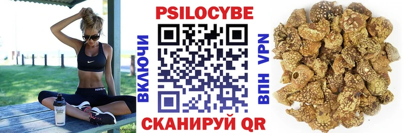 Псилоцибиновые грибы Magic Shrooms  Купить  Куровское 